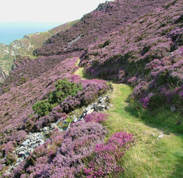 the best of exmoor 