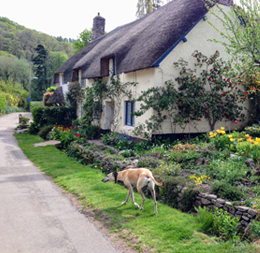 the best of exmoor