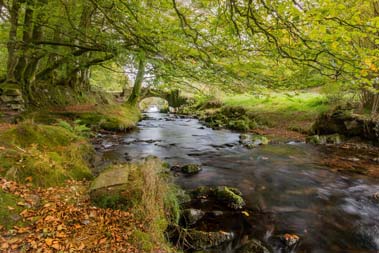 the best of exmoor