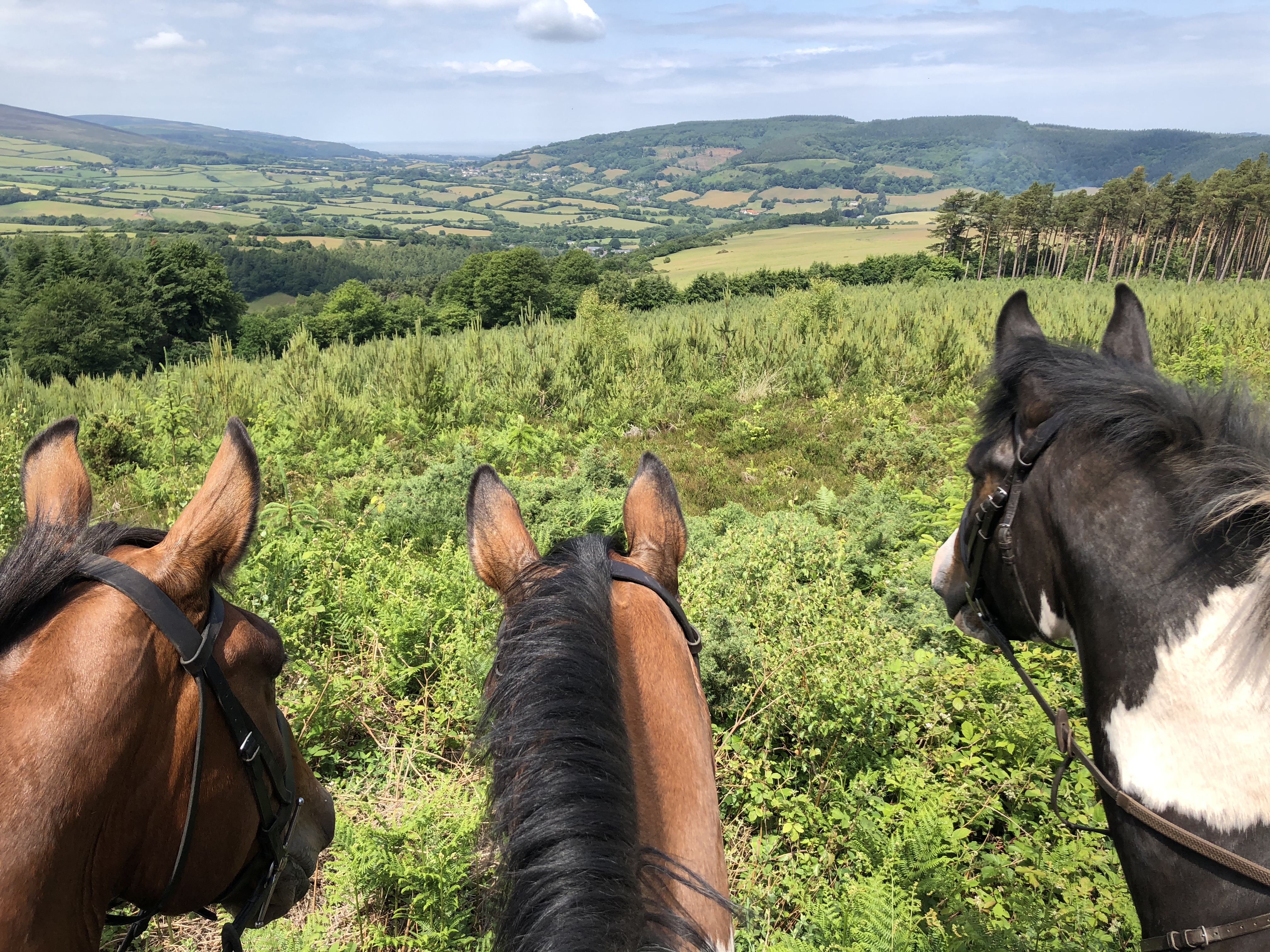 horse riding